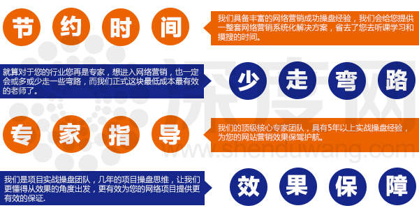深度網具有項目實戰操盤團隊，更有效的為您的網絡項目提供保障